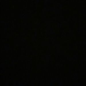 Meet your Posher, Hayden